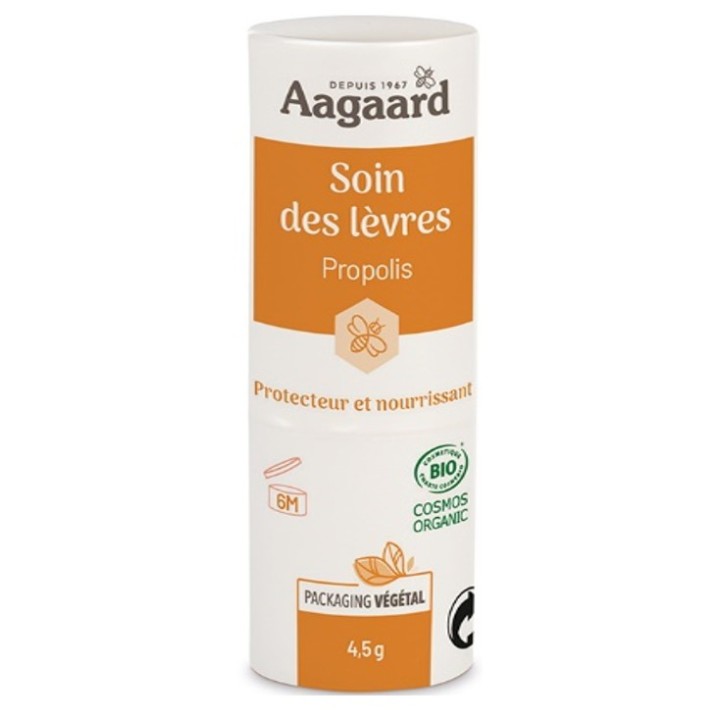 STICK LEVRES PROPOLIS CIRE D'ABEILLE STICK 4.5G