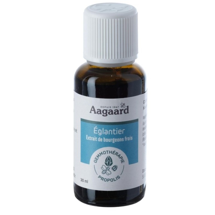 EGLANTIER* 30ML MACERAT UNITAIRE