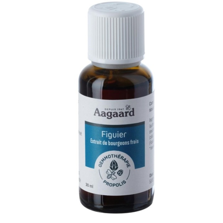 FIGUIER* 30ML MACERAT UNITAIRE