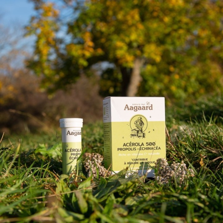 ACEROLA 500MG+ PROPOLIS + ECHINACEA 20 COMPRIMES A CROQUER* ACEROLA 500MG+ PROPOLIS + ECHINACEA 20 COMPRIMES A CROQUER*