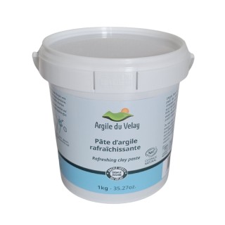 ARGILE VERTE & HE MENTHE  - PATE DE RECUPERATION 1 KG