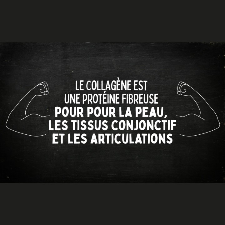 Coolagène Les Bios Frères – Collagène végétarien