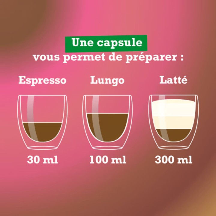 Mushroom Coffee Instantané Purasana – Café aux champignons | La Source