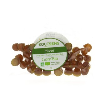 GOM BIO HIVER SACHET 45 g