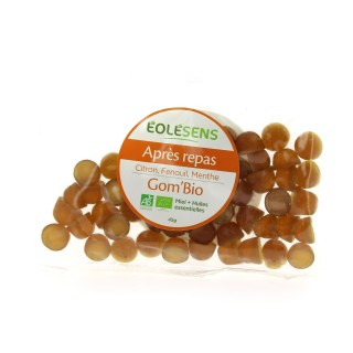 GOM BIO APRES REPAS SACHET 45 g